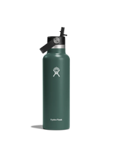 Hydroflask Bottle w/ Flex Straw Cap ~ Fir